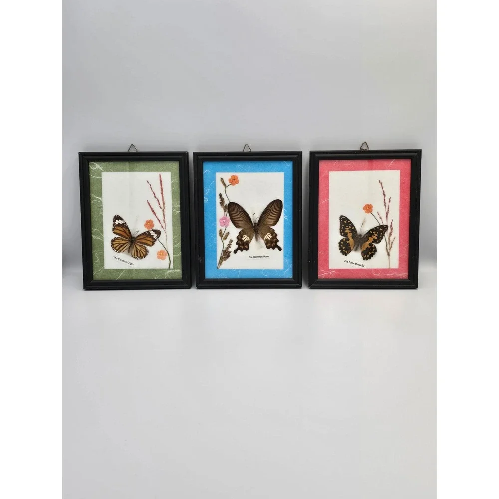 Set of 3 Framed Butterfly Art Collection Common Tiger Common Rose Lime Butterfly